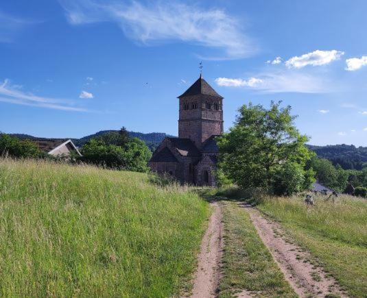Chez Gigi Et Malou - Gite Brimbelle Champ-le-Duc Kültér fotó
