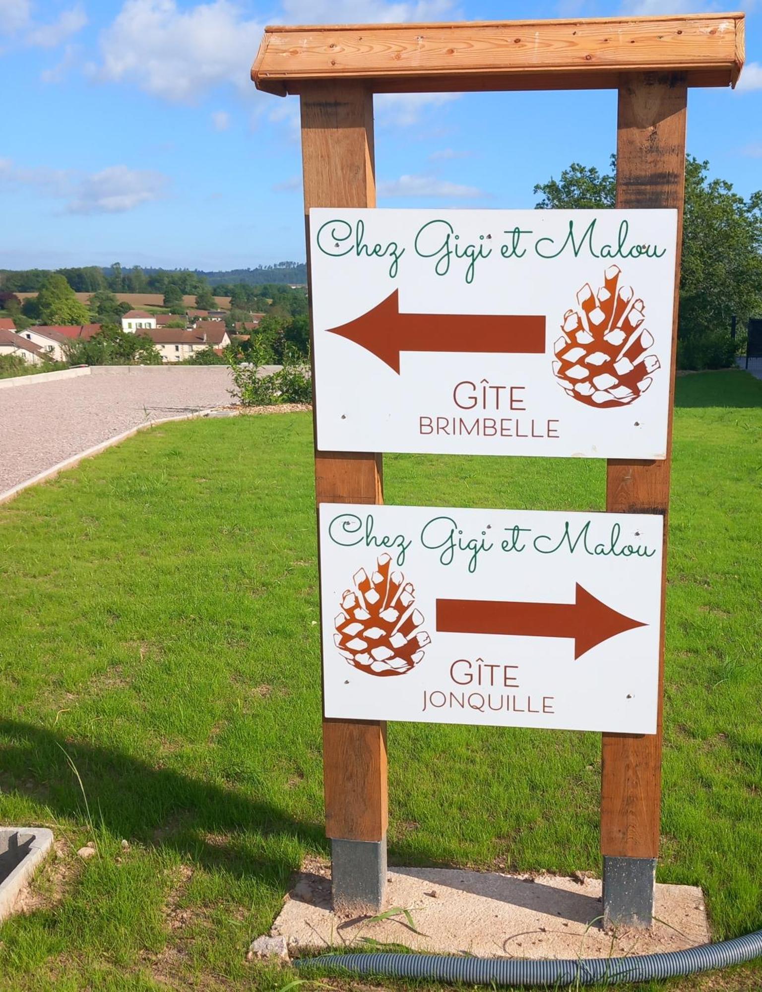 Chez Gigi Et Malou - Gite Brimbelle Champ-le-Duc Kültér fotó